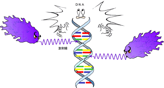 DNAは生命の源